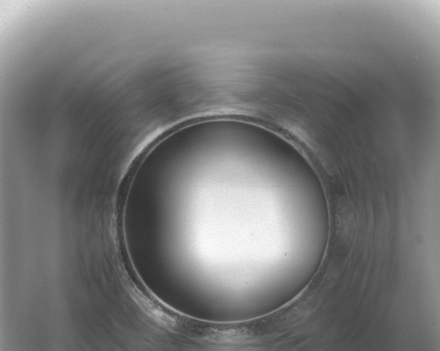 X0000062151460200512121255