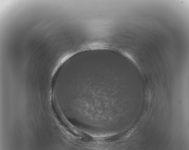 X0000062151461200512121255