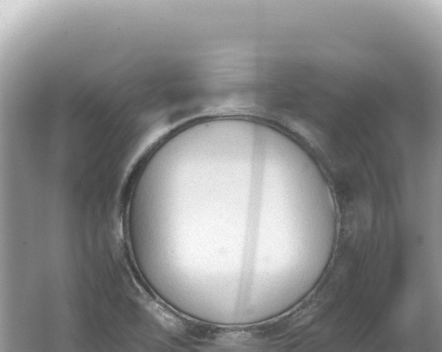 X0000062151462200512121255