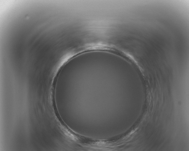 X0000062151463200512121255