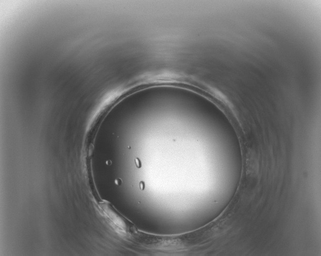 X0000062151464200512121255