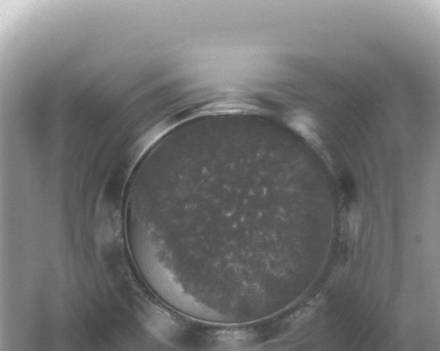 X0000062151465200512121255