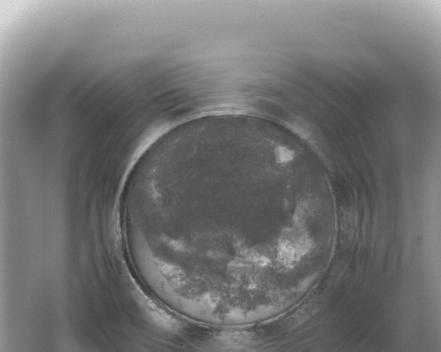 X0000062151466200512121255