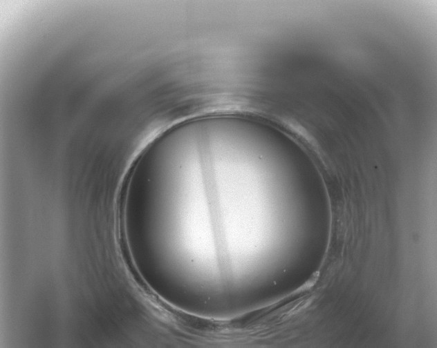 X0000062151467200512121255