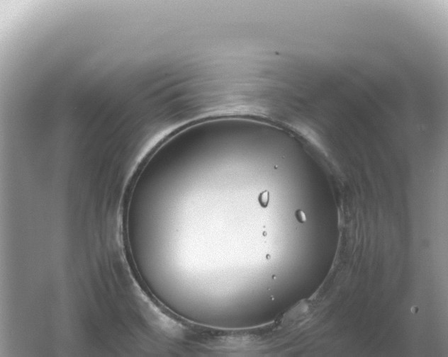 X0000062151468200512121255