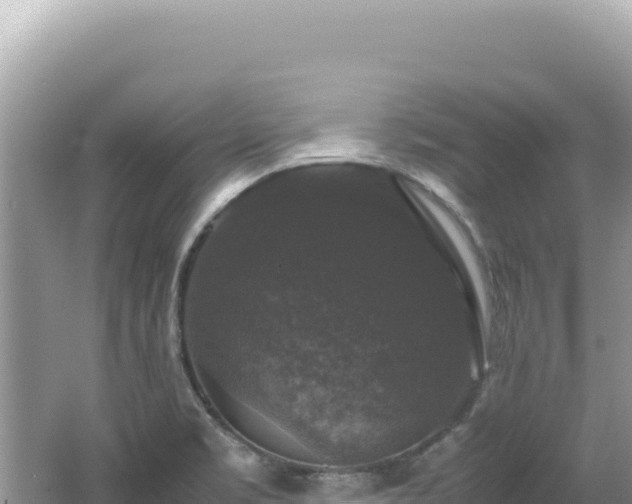 X0000062151469200512121255