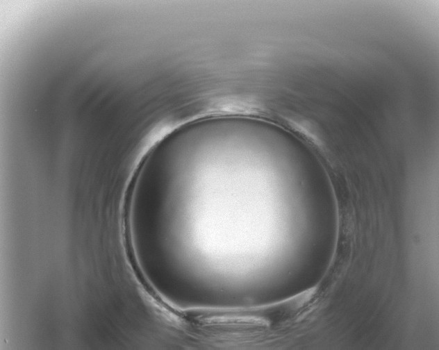 X0000062151471200512121255