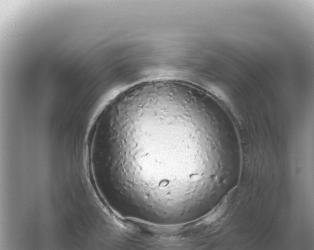 X0000062151472200512121255