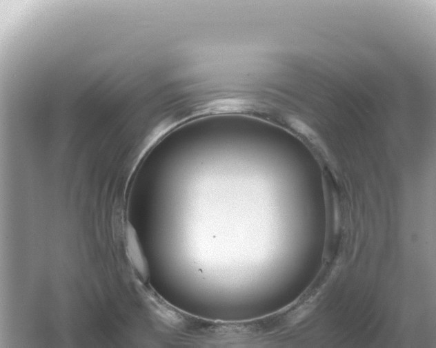 X0000062151473200512121255