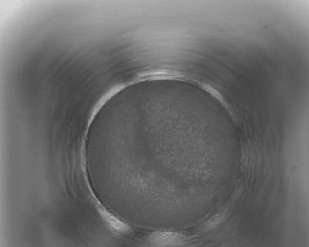 X0000062151474200512121255