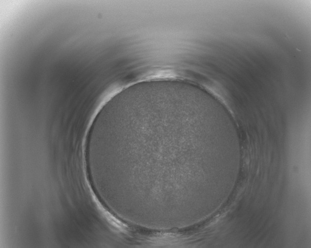 X0000062151475200512121255