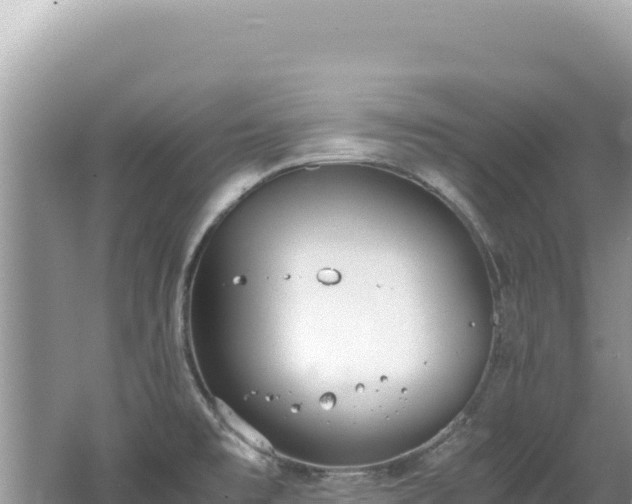 X0000062151477200512121254