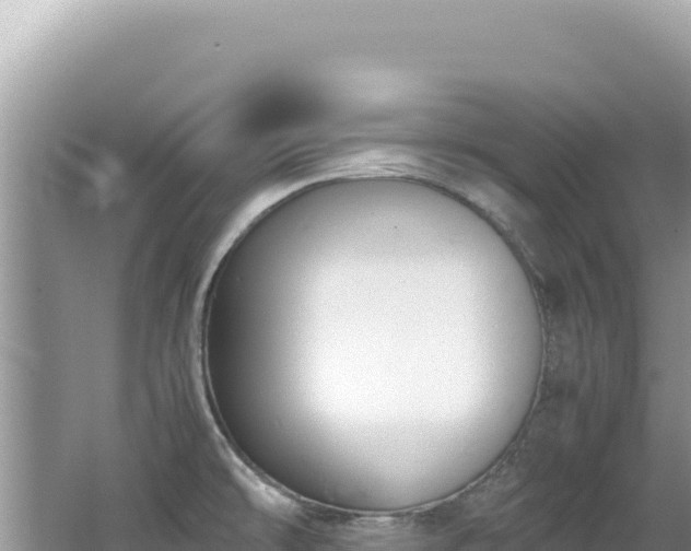 X0000062151478200512121254