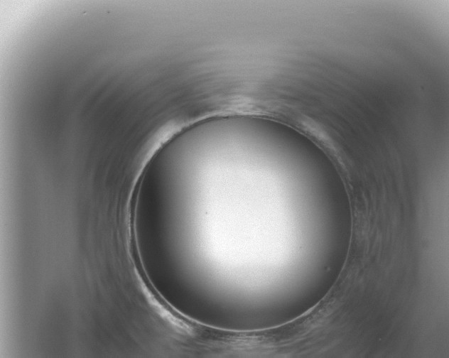 X0000062151479200512121254