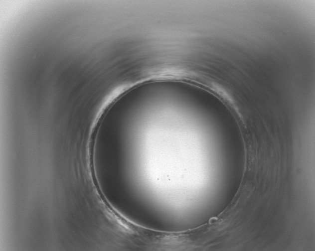 X0000062151480200512121254