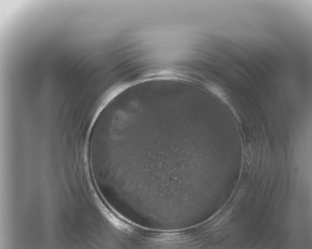 X0000062151482200512121254