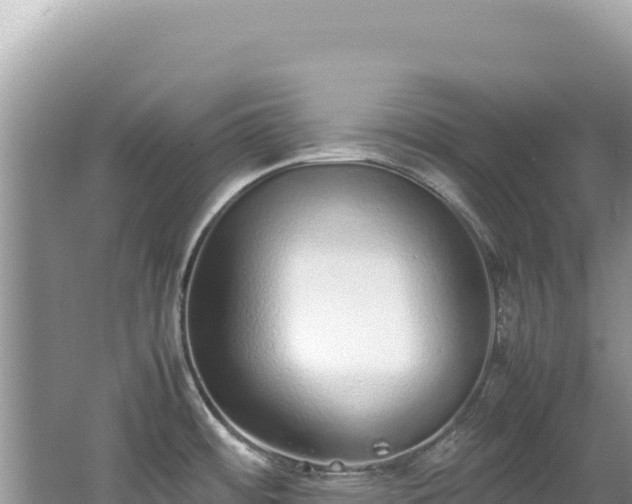 X0000062151484200512121254