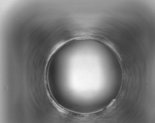 X0000062151485200512121254