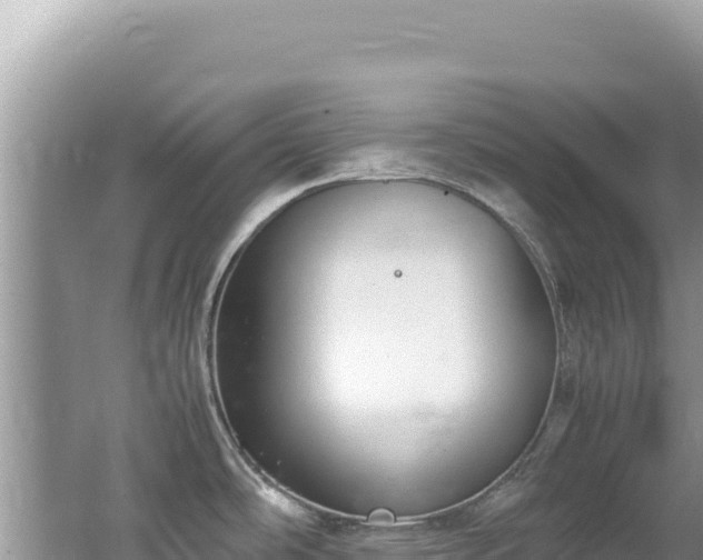 X0000062151486200512121254