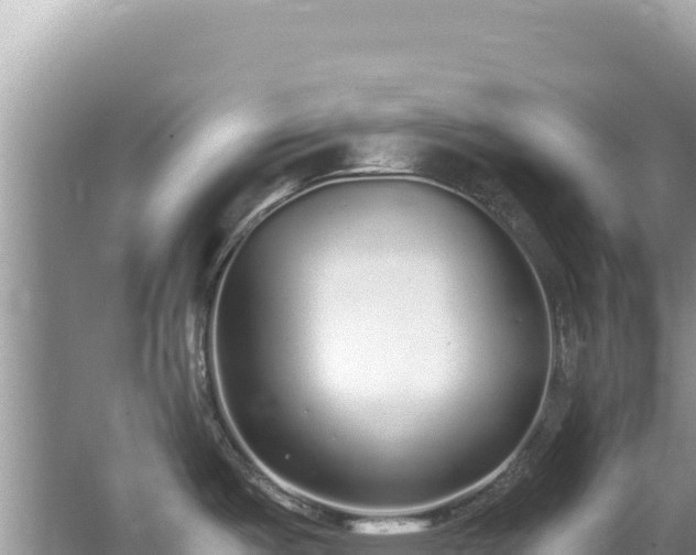 X0000062151487200512121254