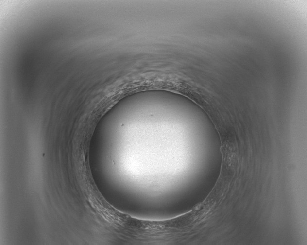 X0000062151489200512121253