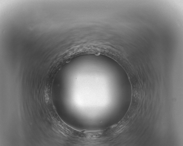 X0000062151490200512121254