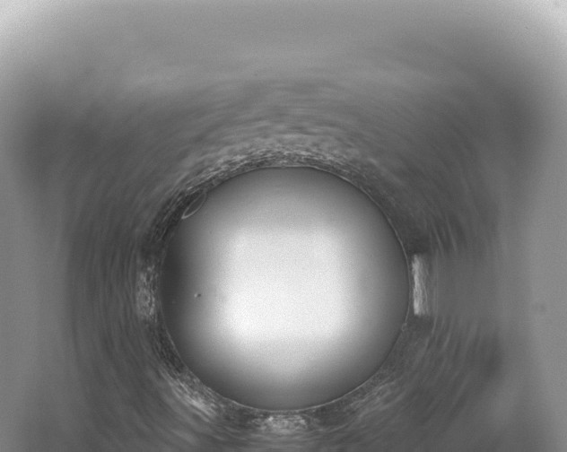 X0000062151491200512121254