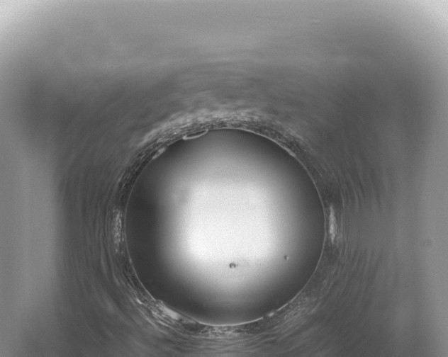 X0000062151492200512121254