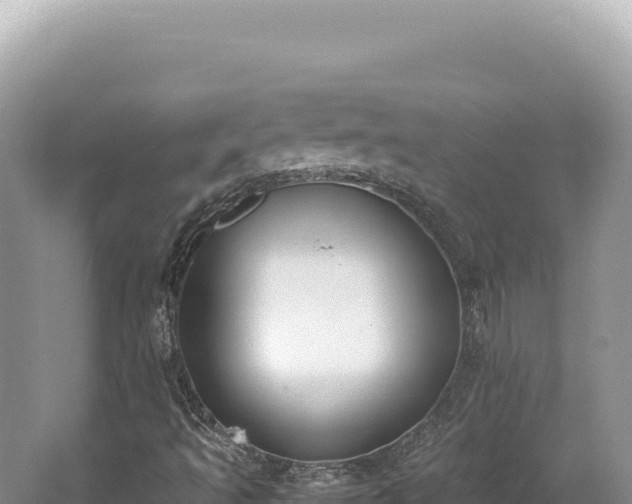 X0000062151493200512121254