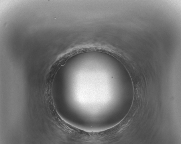 X0000062151494200512121254