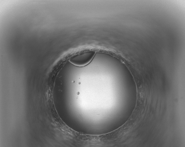 X0000062151495200512121254