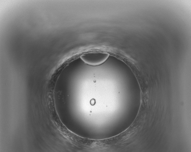 X0000062151496200512121254