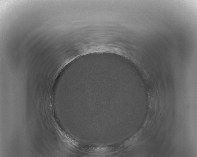 X0000062151497200512121254