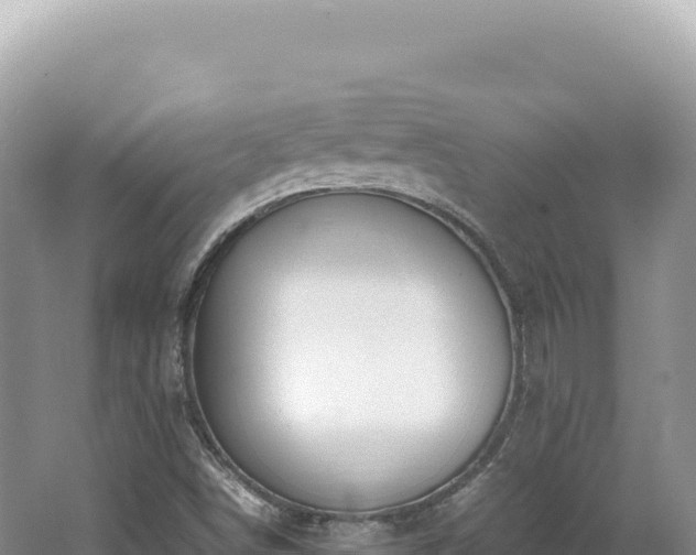 X0000062151498200512121254