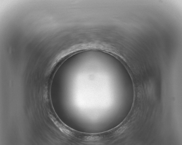 X0000062151499200512121254