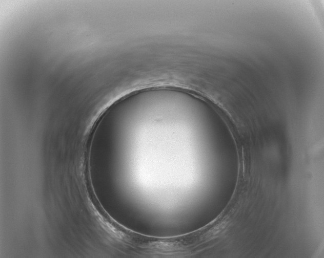 X0000062151500200512121254