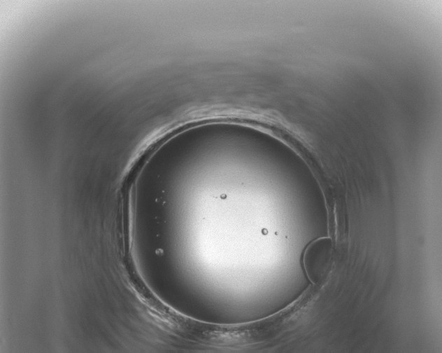 X0000062151501200512121254