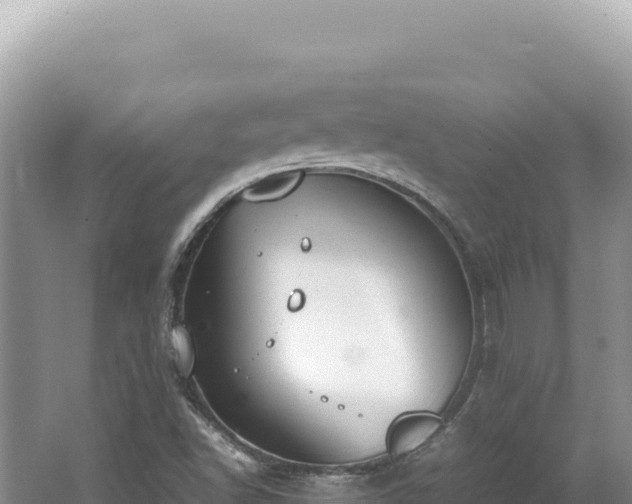 X0000062151502200512121254