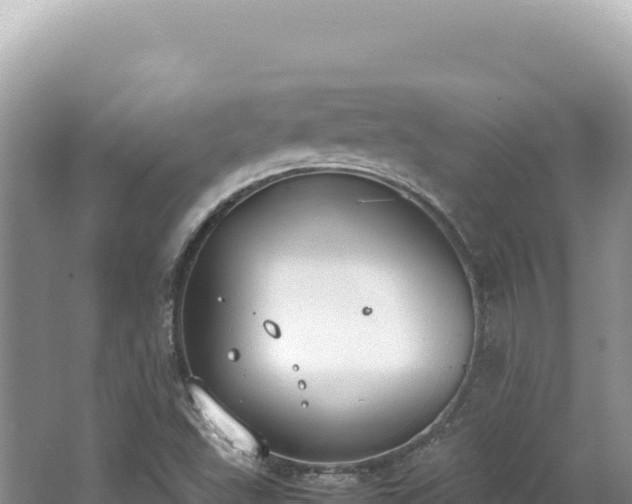 X0000062151503200512121254