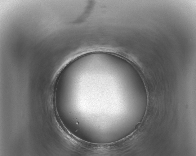 X0000062151504200512121254