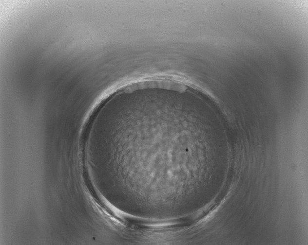 X0000062151506200512121254