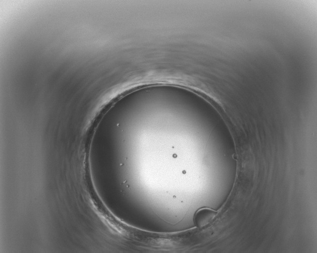 X0000062151507200512121254