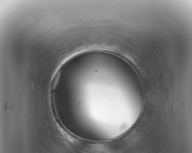 X0000062151508200512121254