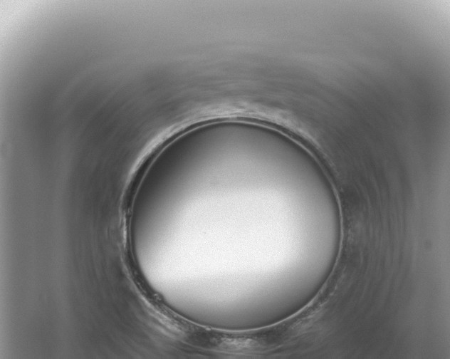 X0000062151509200512121254