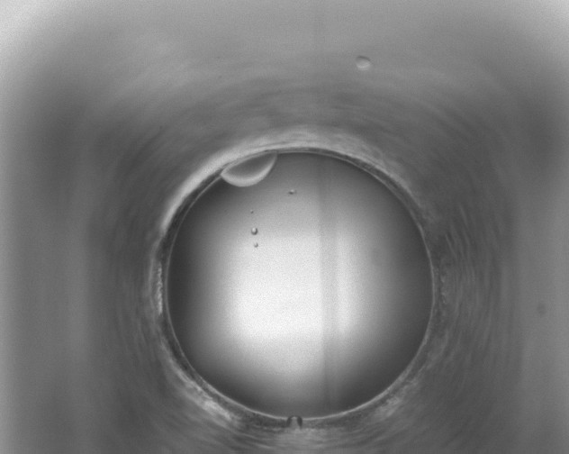 X0000062151510200512121254