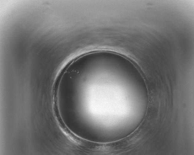 X0000062151511200512121254