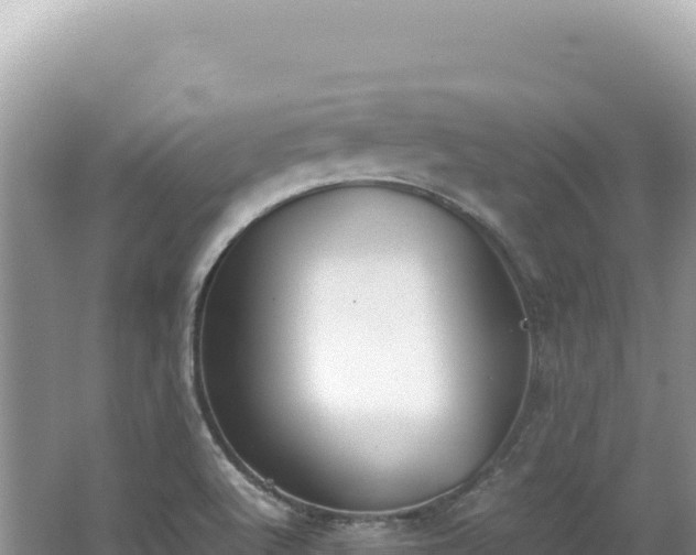 X0000062151512200512121254