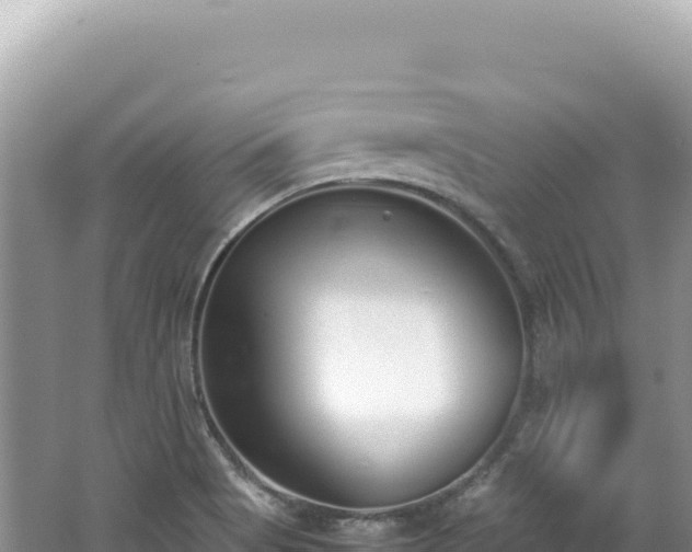 X0000062151513200512121254