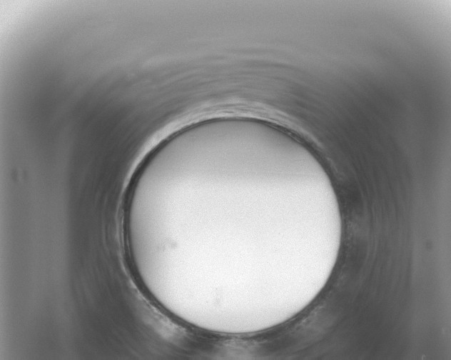 X0000062151514200512121254