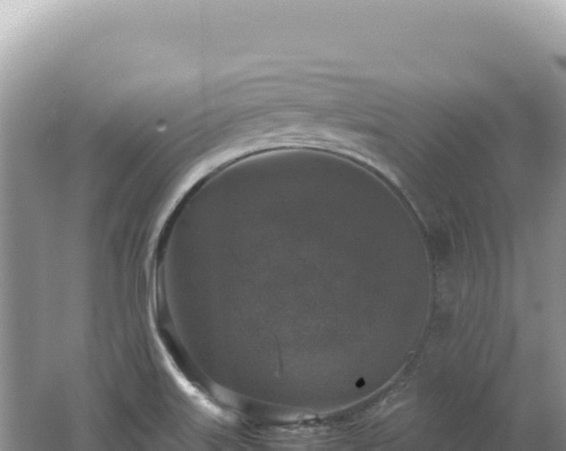 X0000062151515200512121254